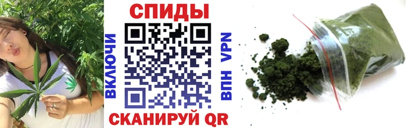 Бутират буратино Юрьев-Польский