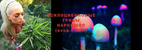 гидропоника Алексин