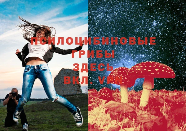 MDMA Алексеевка