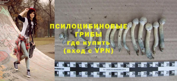 мяу мяу мука Алзамай