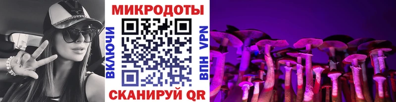 закладки  Юрьев-Польский  Галлюциногенные грибы MAGIC MUSHROOMS 