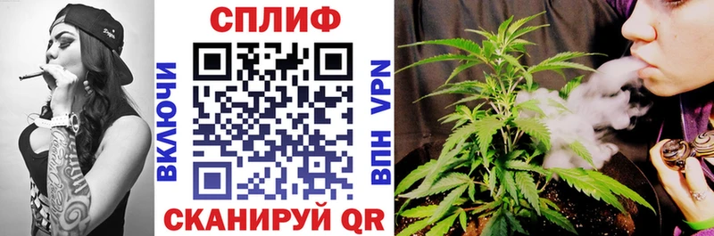 Бошки Шишки тримм Юрьев-Польский